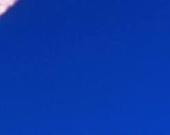 5258.JPG
