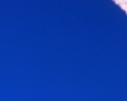 5258.JPG